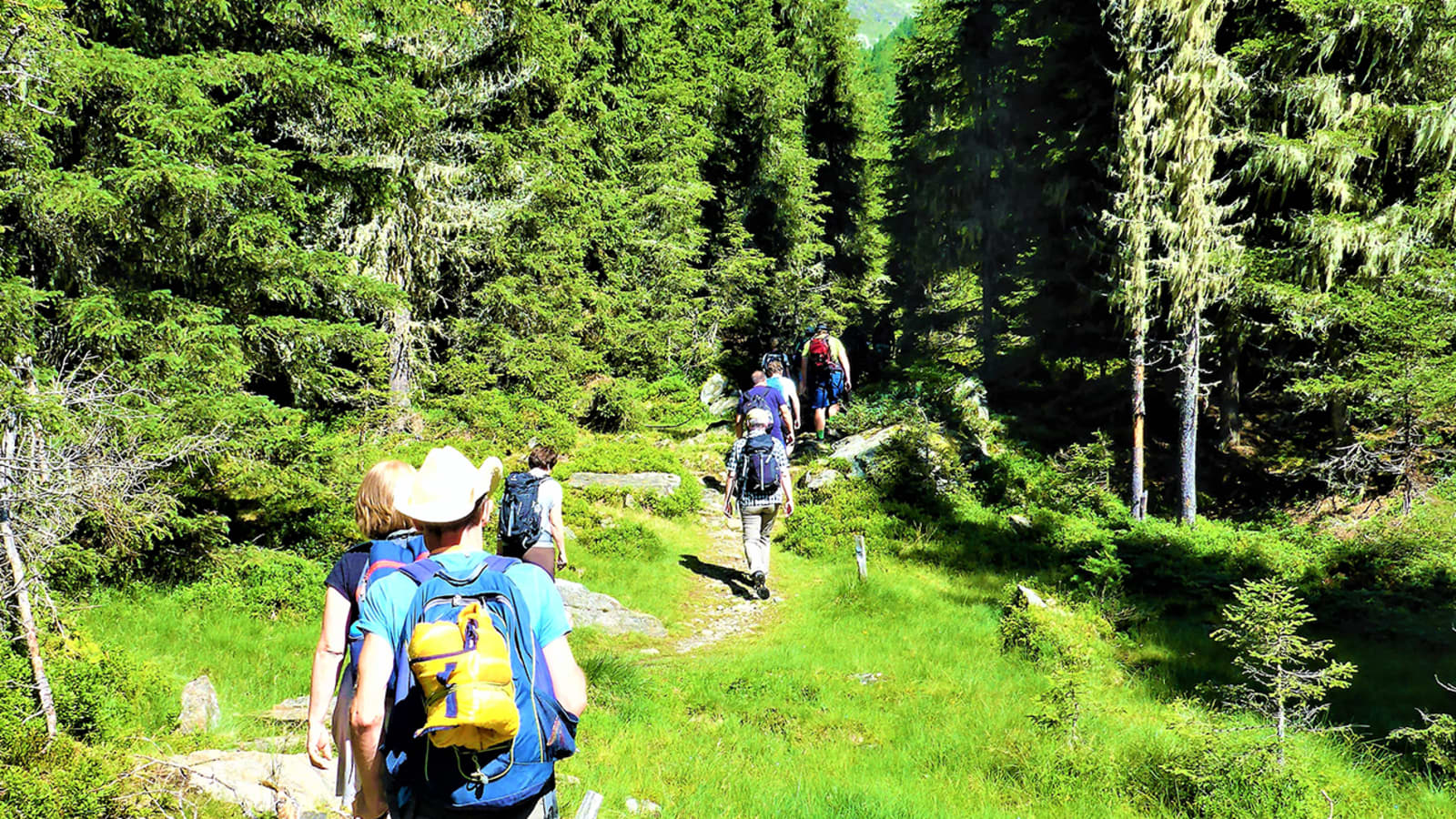 Gemeinsam macht Wandern einfach mehr Spaß! Beim Alpenverein Edelweiss und bekommt ein einmaliges Gefühl von Zusammenhalt und Gemeinschaft.