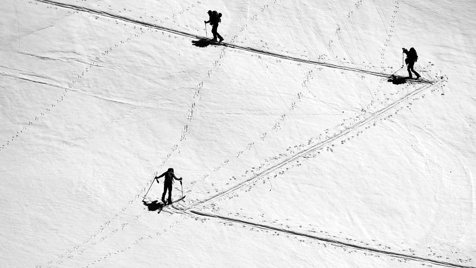 Spuranlage Skitour