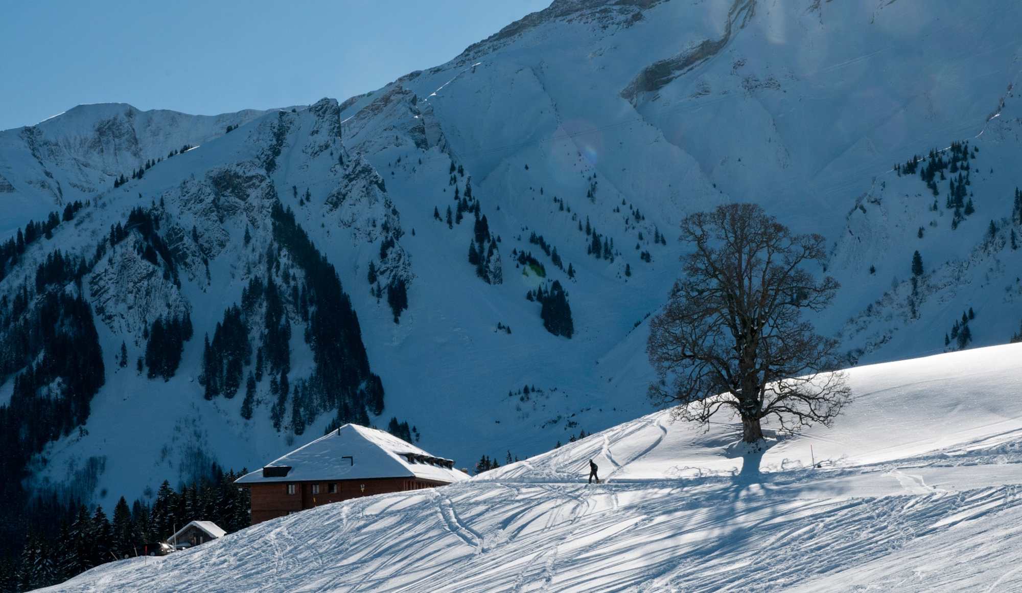 Alphütte Schwand mit den steilen Flanken des Brienzer Rothorns im Hintergrund
