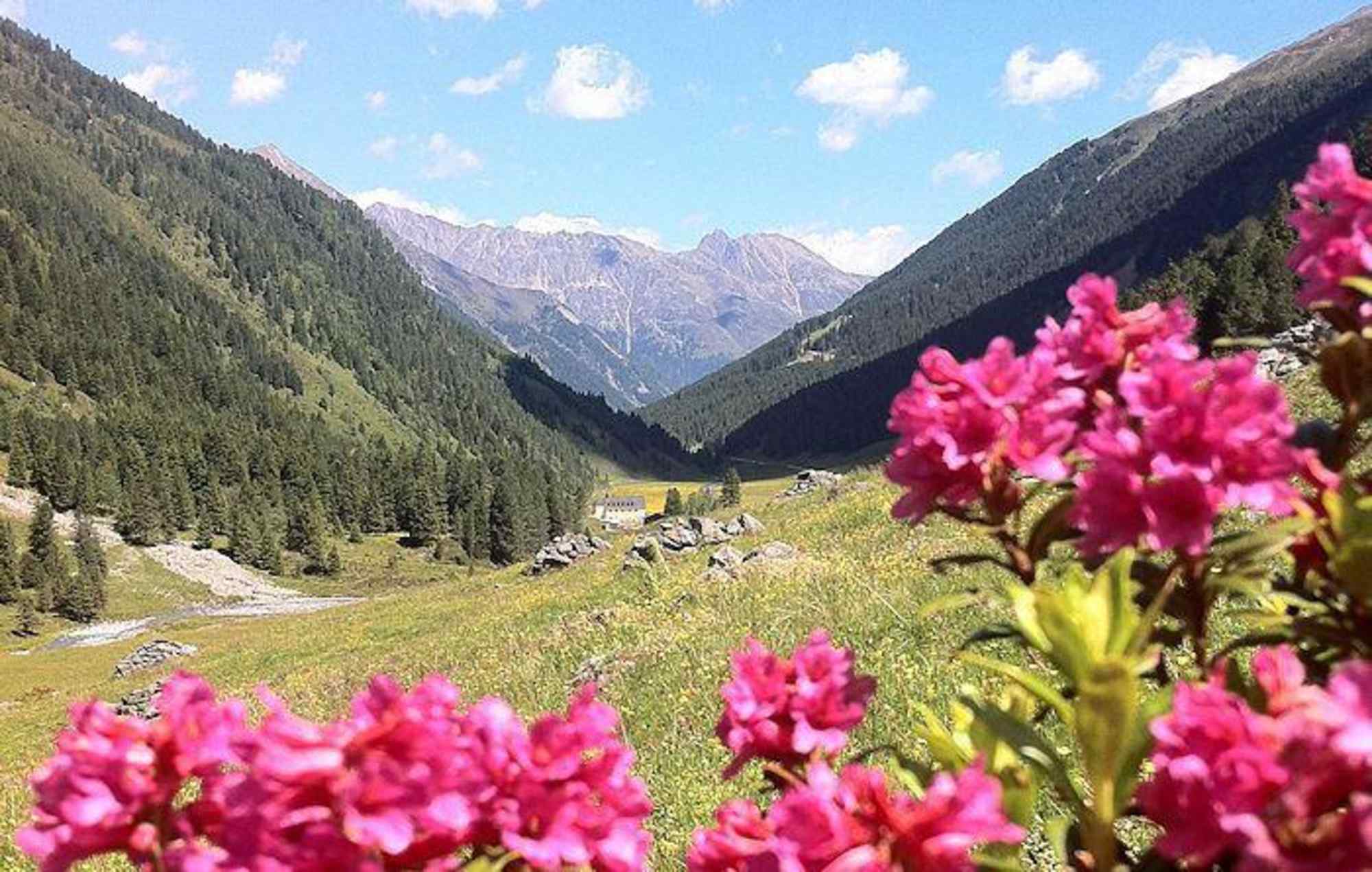 Das Lüsenstal