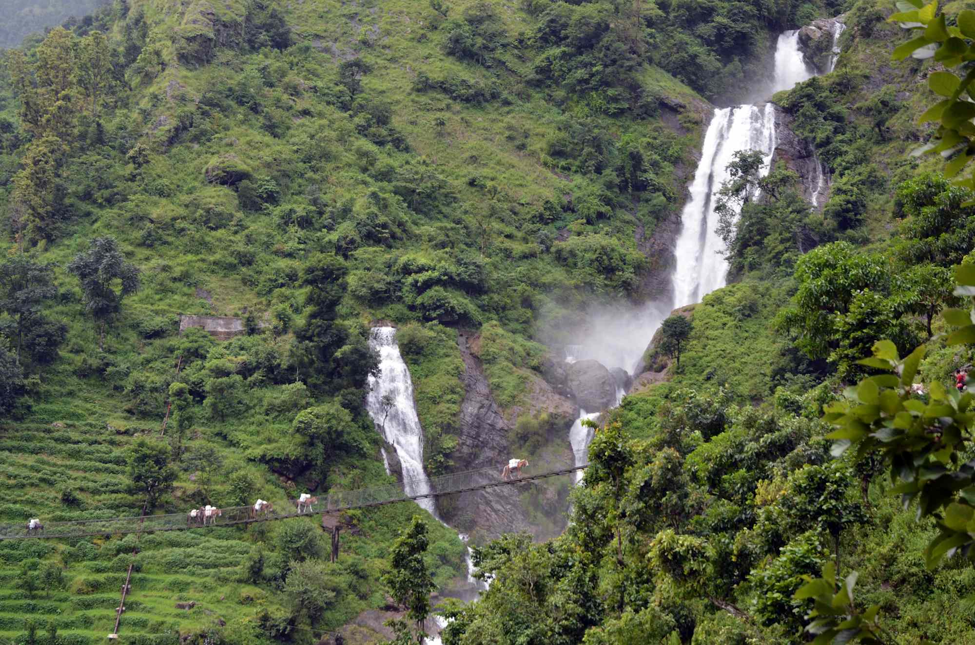 Trekking Nepal Manaslu
