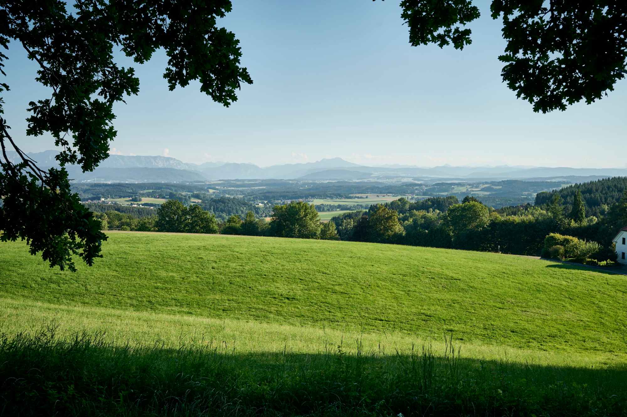 Der Ausblick von der Pettenfirsthütte