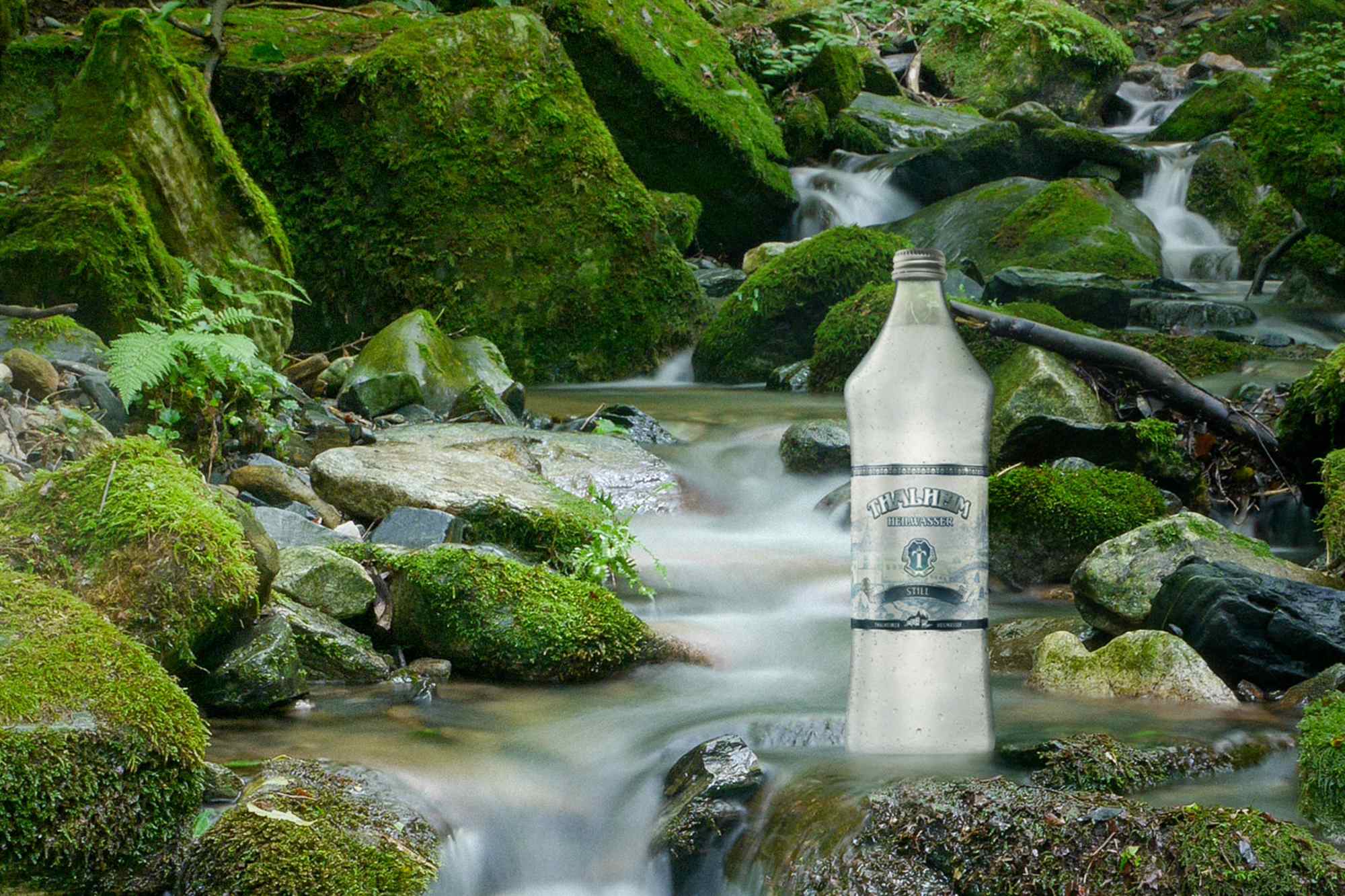 Wasser Leben