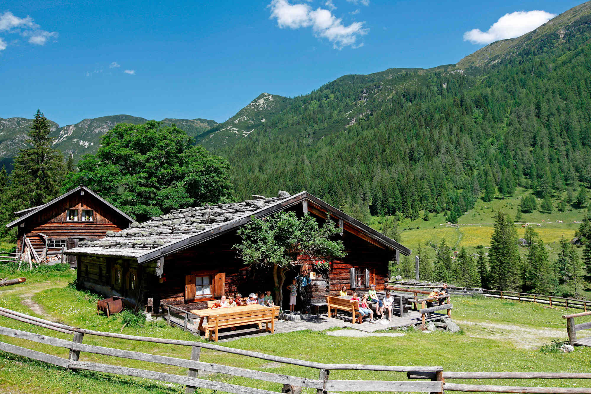 Weitwandern: Der Salzburger Almenweg
