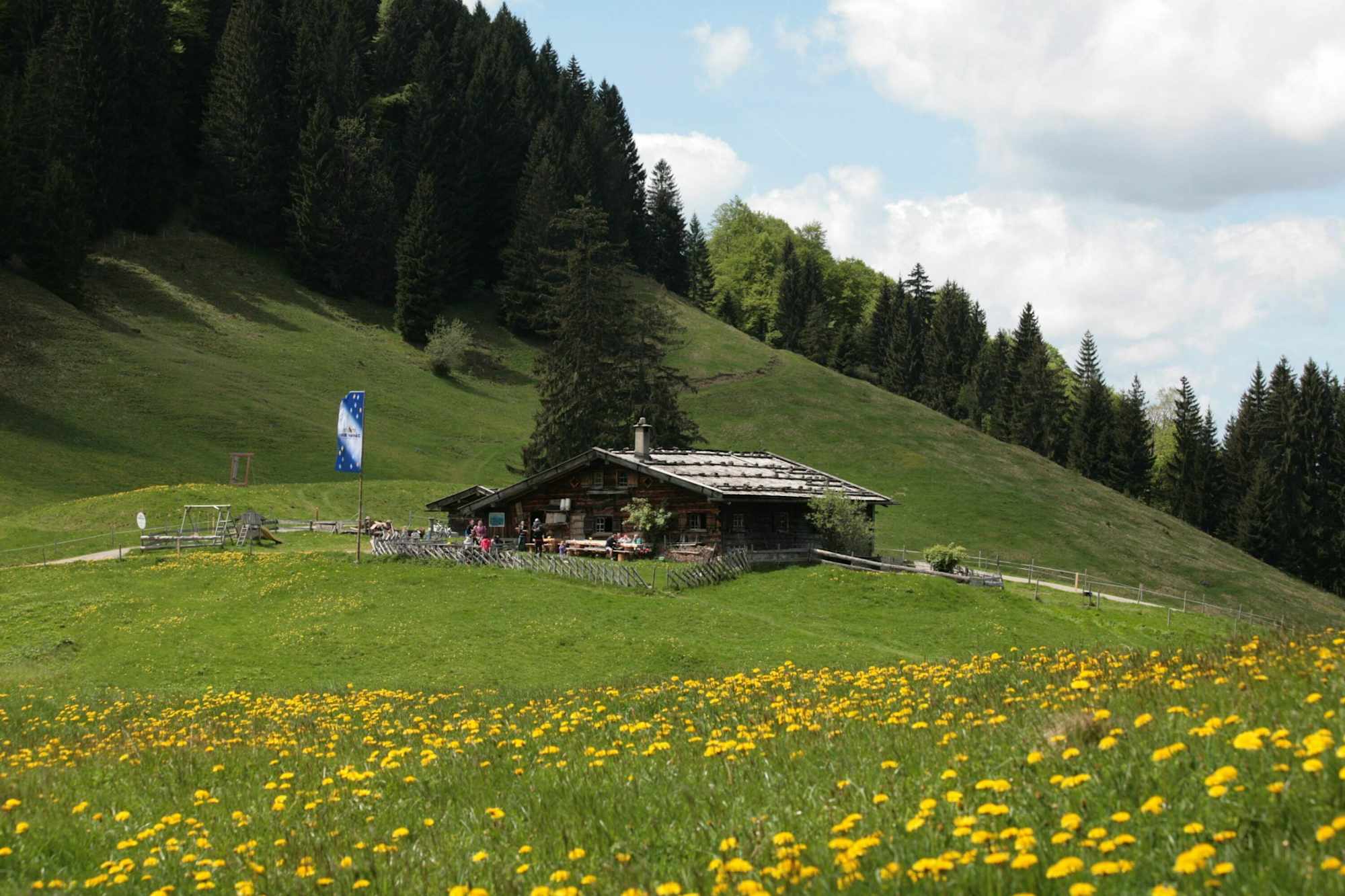 Die Alpe Gschwenderberg im Frühling