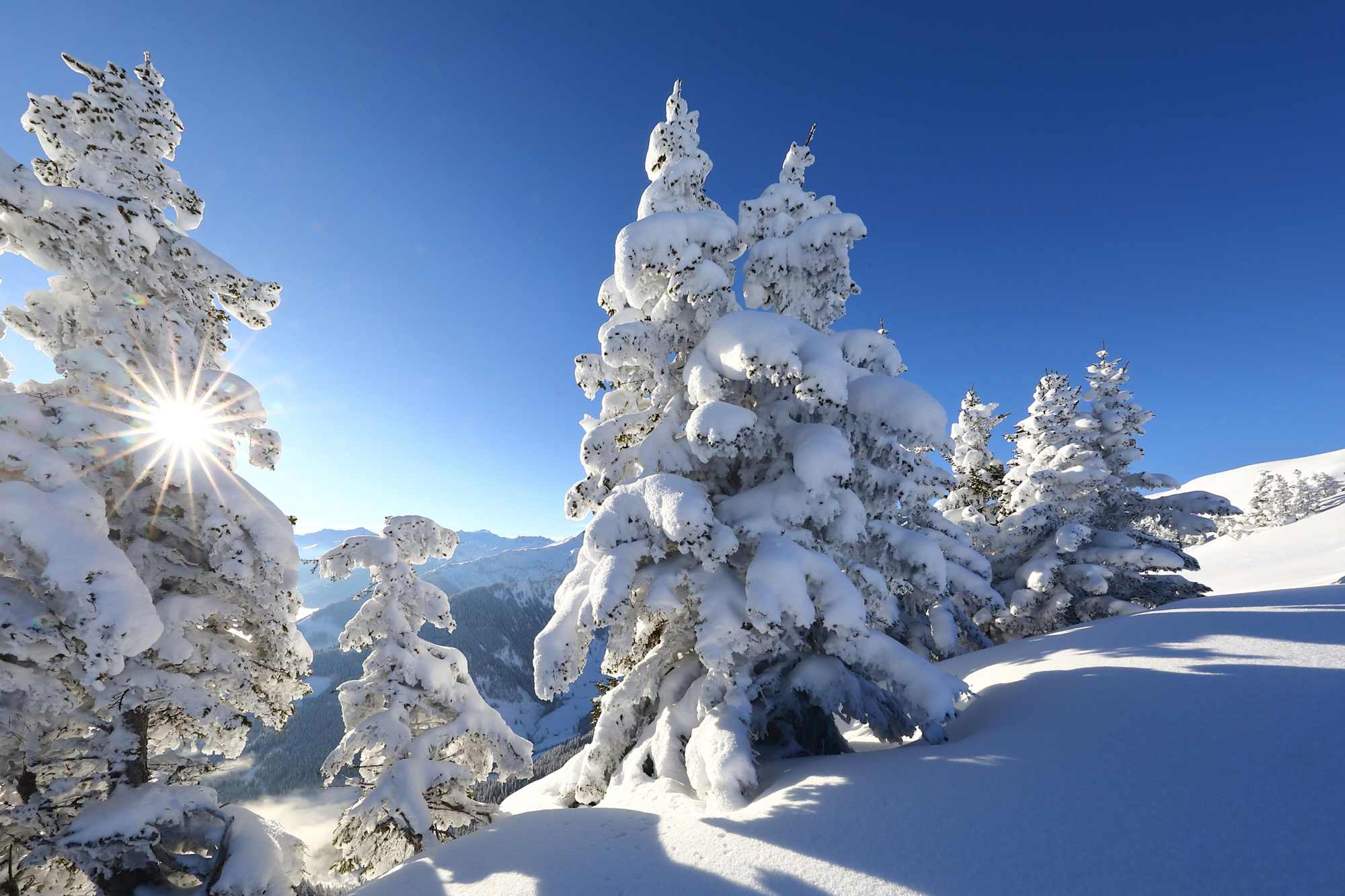 Panorama-Schneeschuhwanderung zwischen Großarl und Dorfgastein