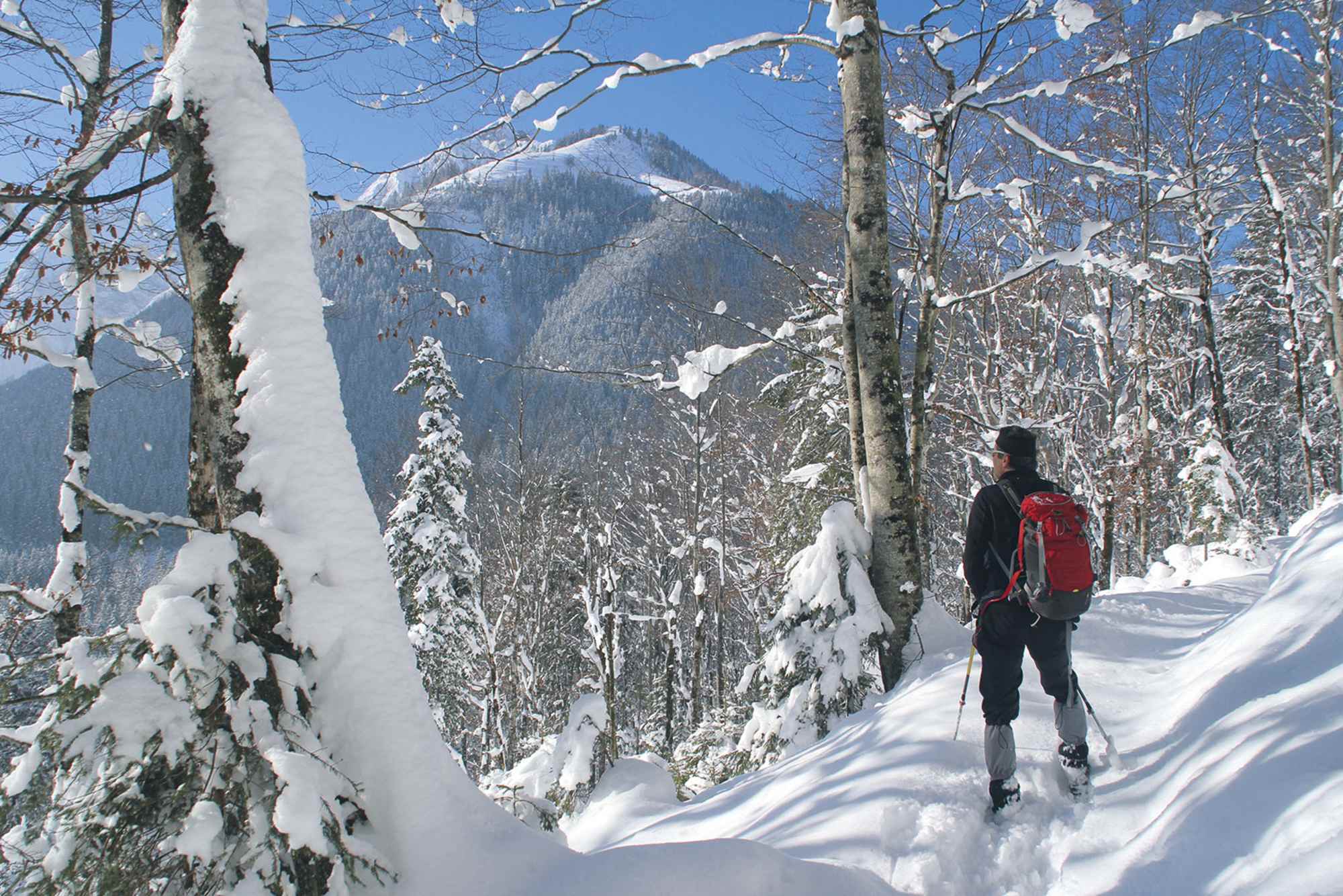Auf der Schneeschuhtour zum Feilkopf wird die Aussicht mit jedem Schritt besser.