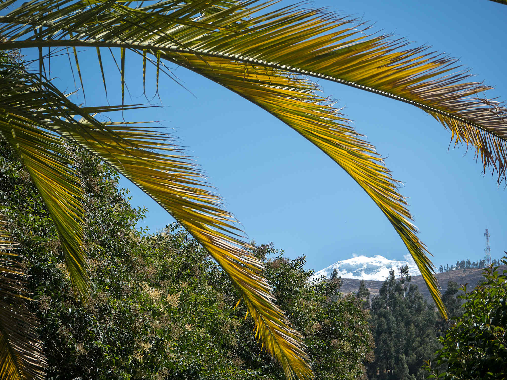 Reise Peru Anden
