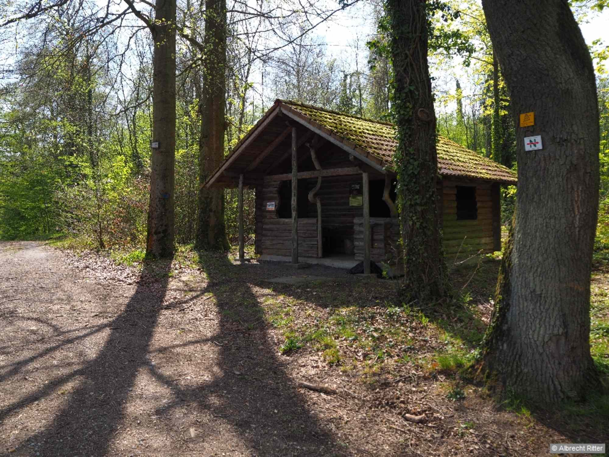 An der Hermann-Enderle-Hütte biegen wir links ab und finden wieder das grüne N (allerdings nun mit Pfeil in entgegengesetzter Richtung).