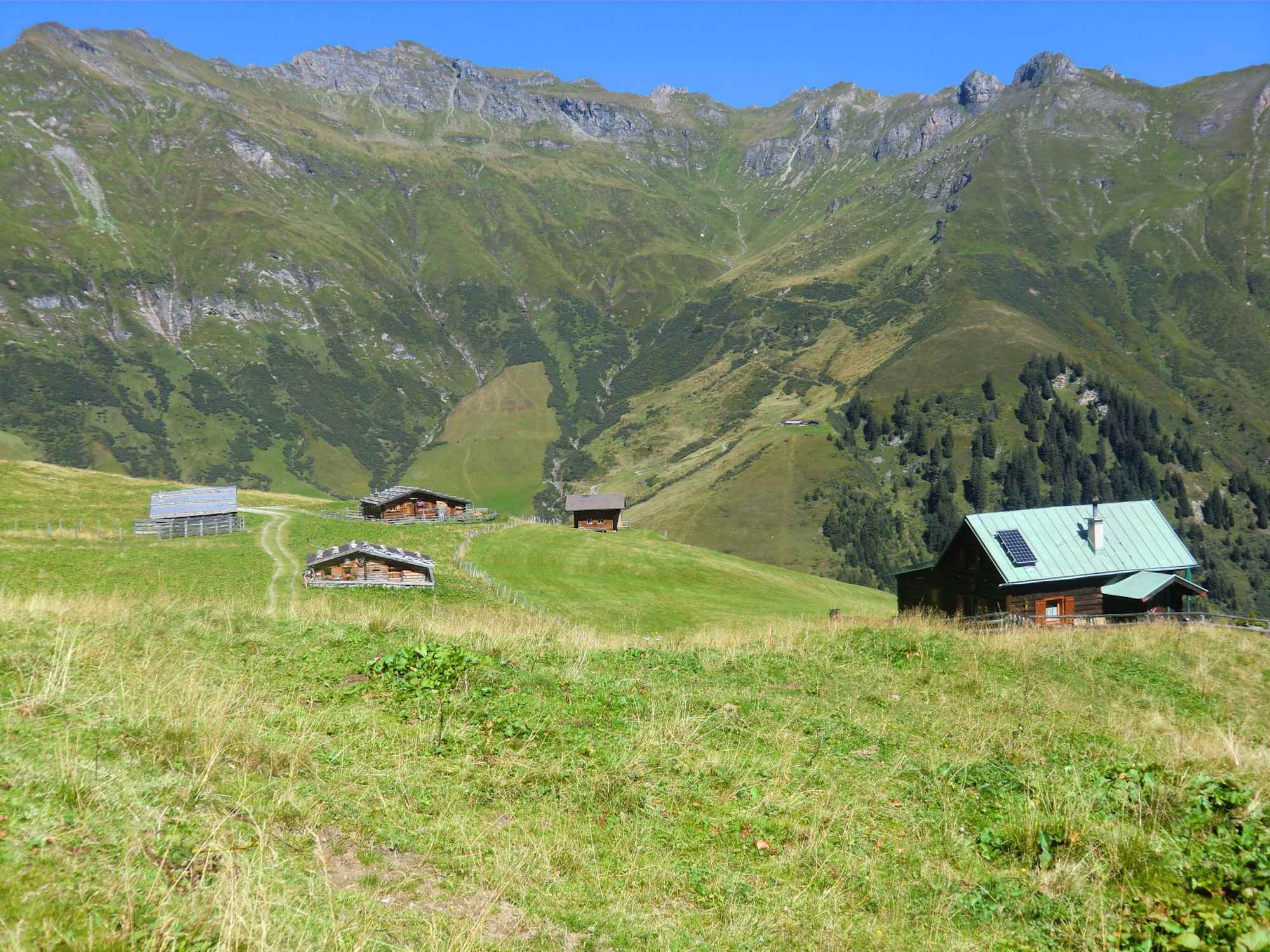 Gedaunerer Hochalm