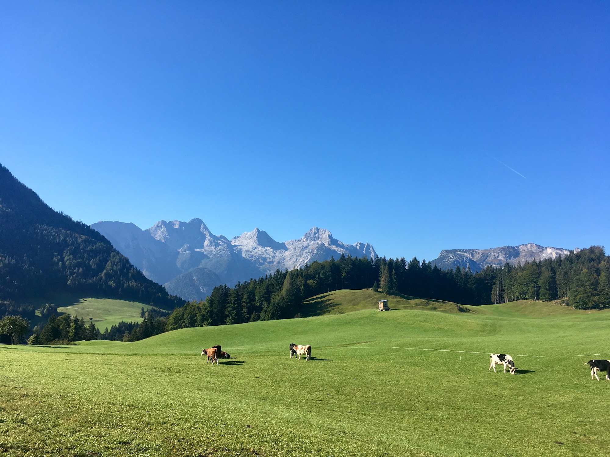 Mayrberg - blick Richtung Steinberge