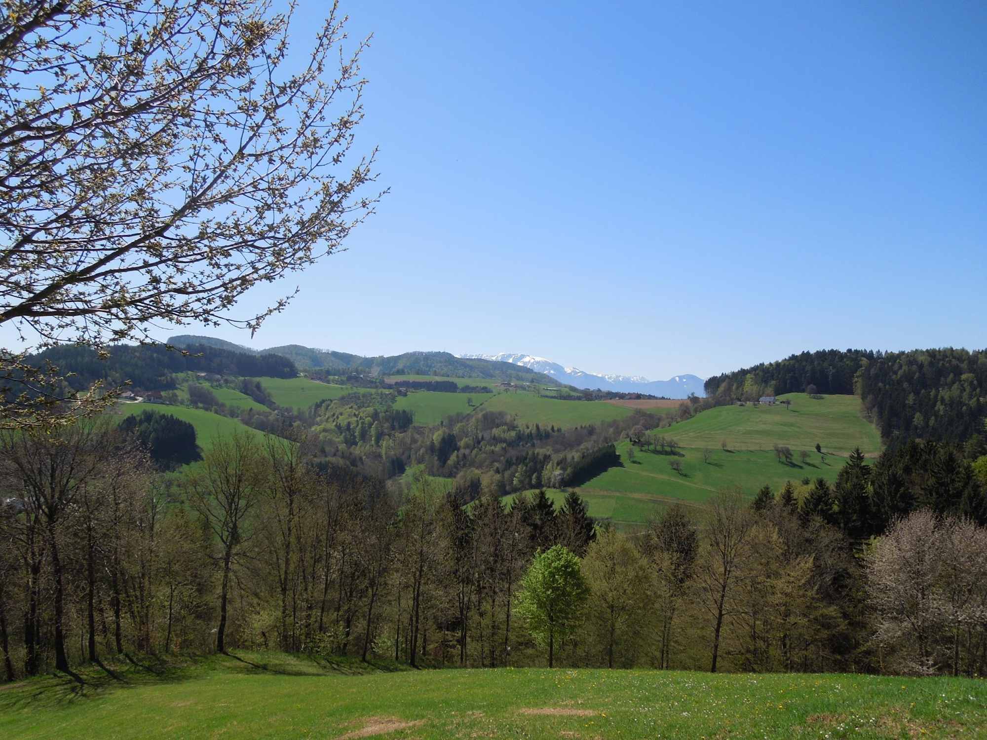 Blick zur Petzen