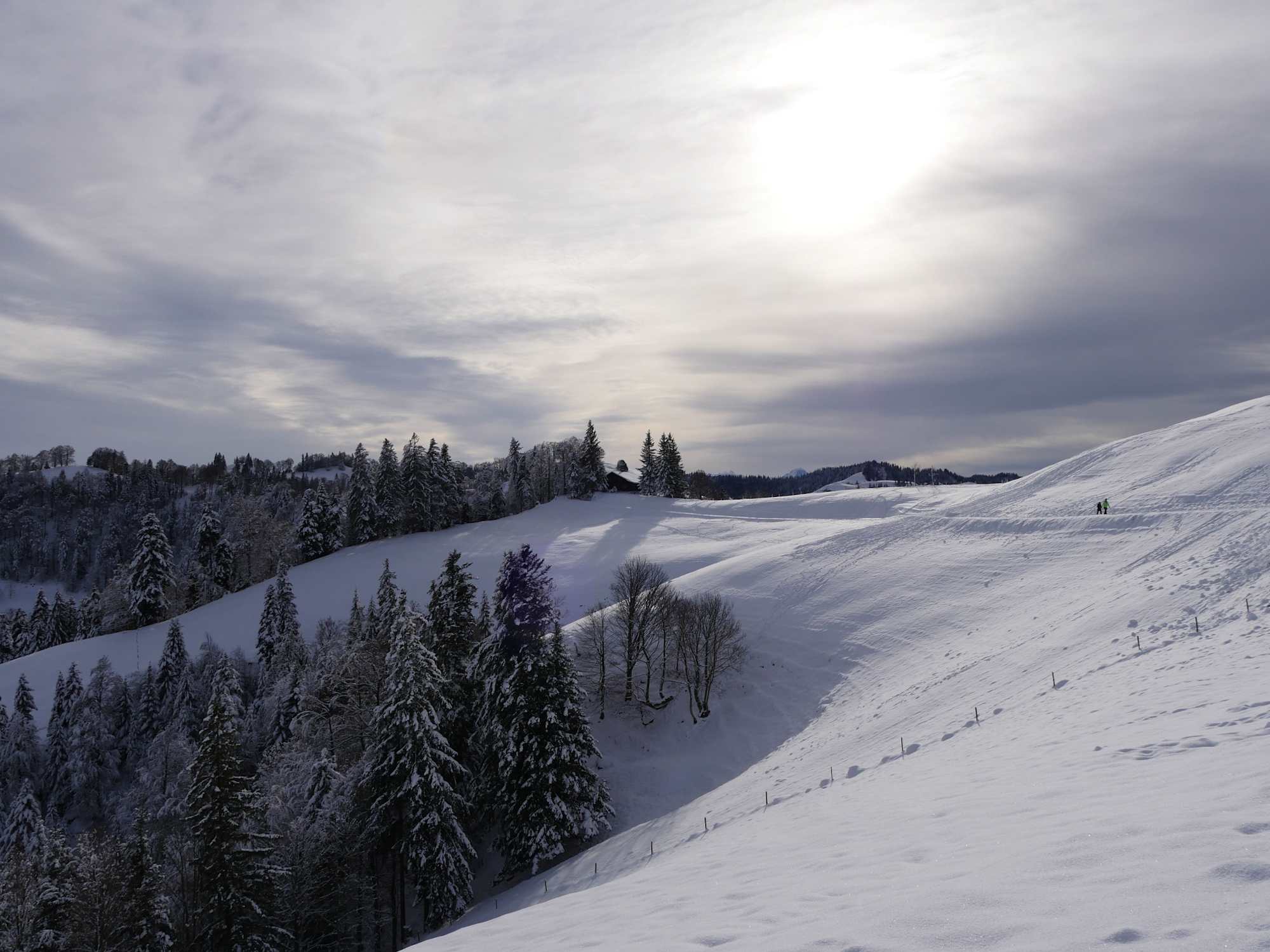 Blick von der Ahornalp Richtung Napf