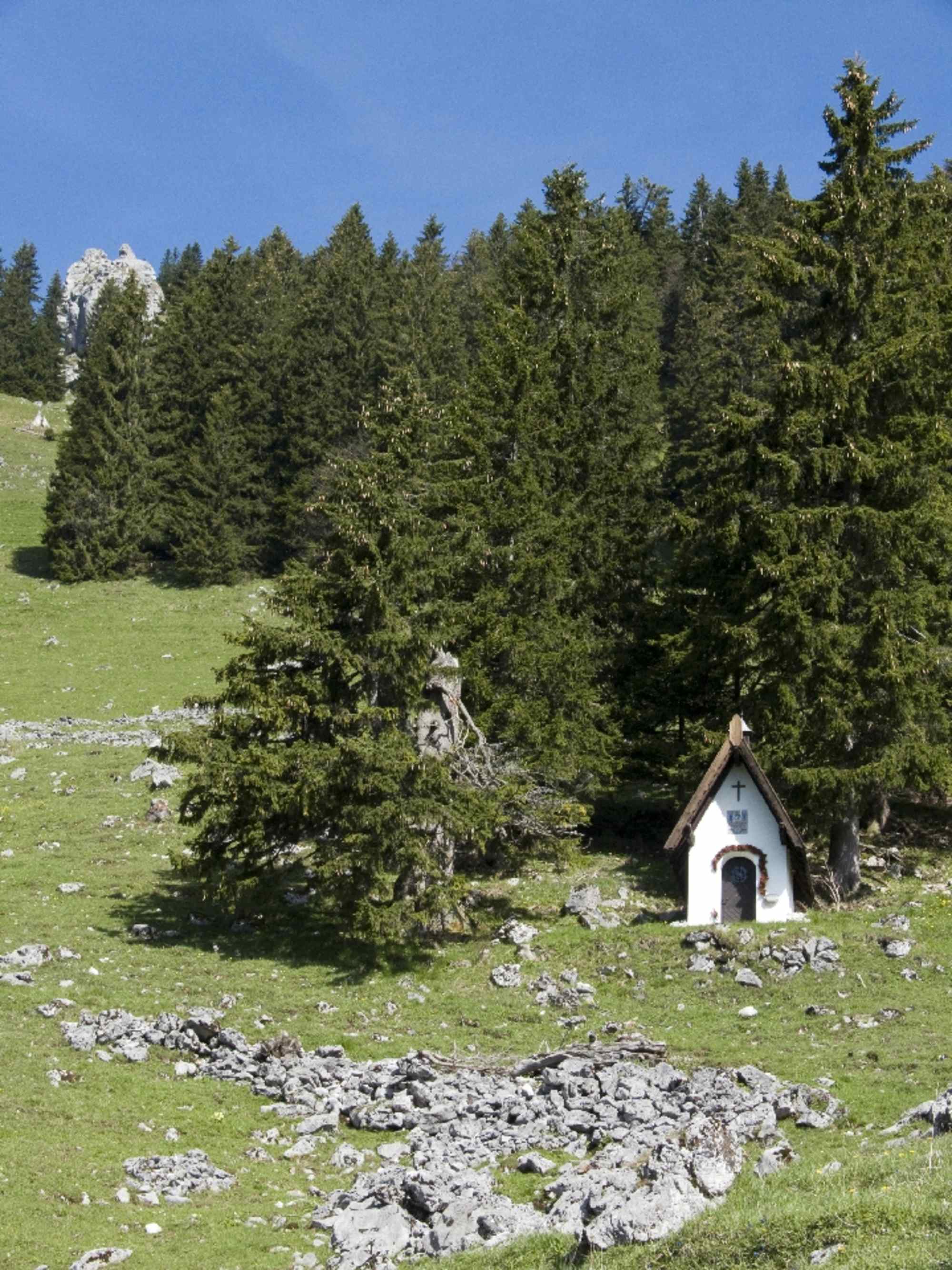 Neuhüttenalm