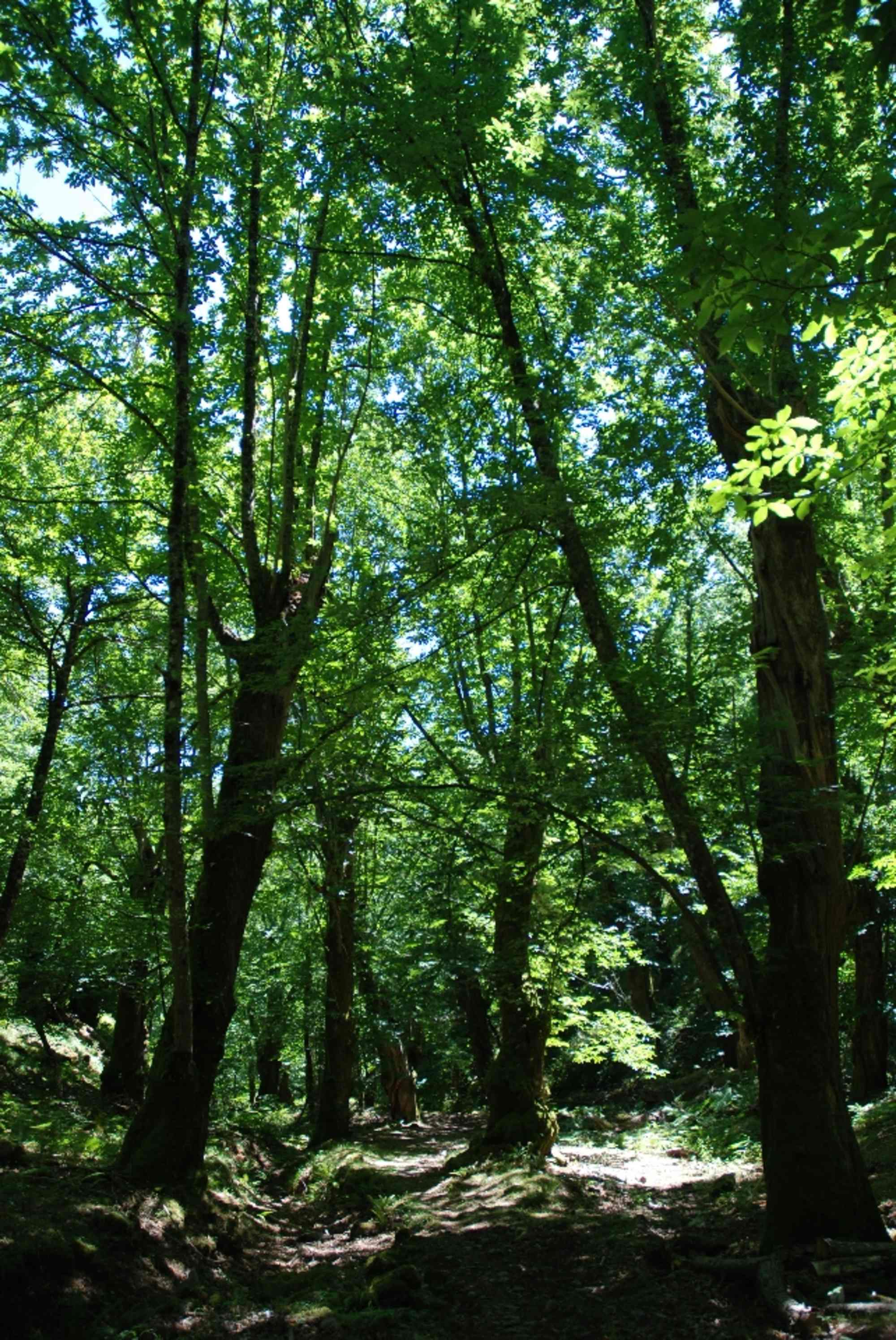 Rückweg 1