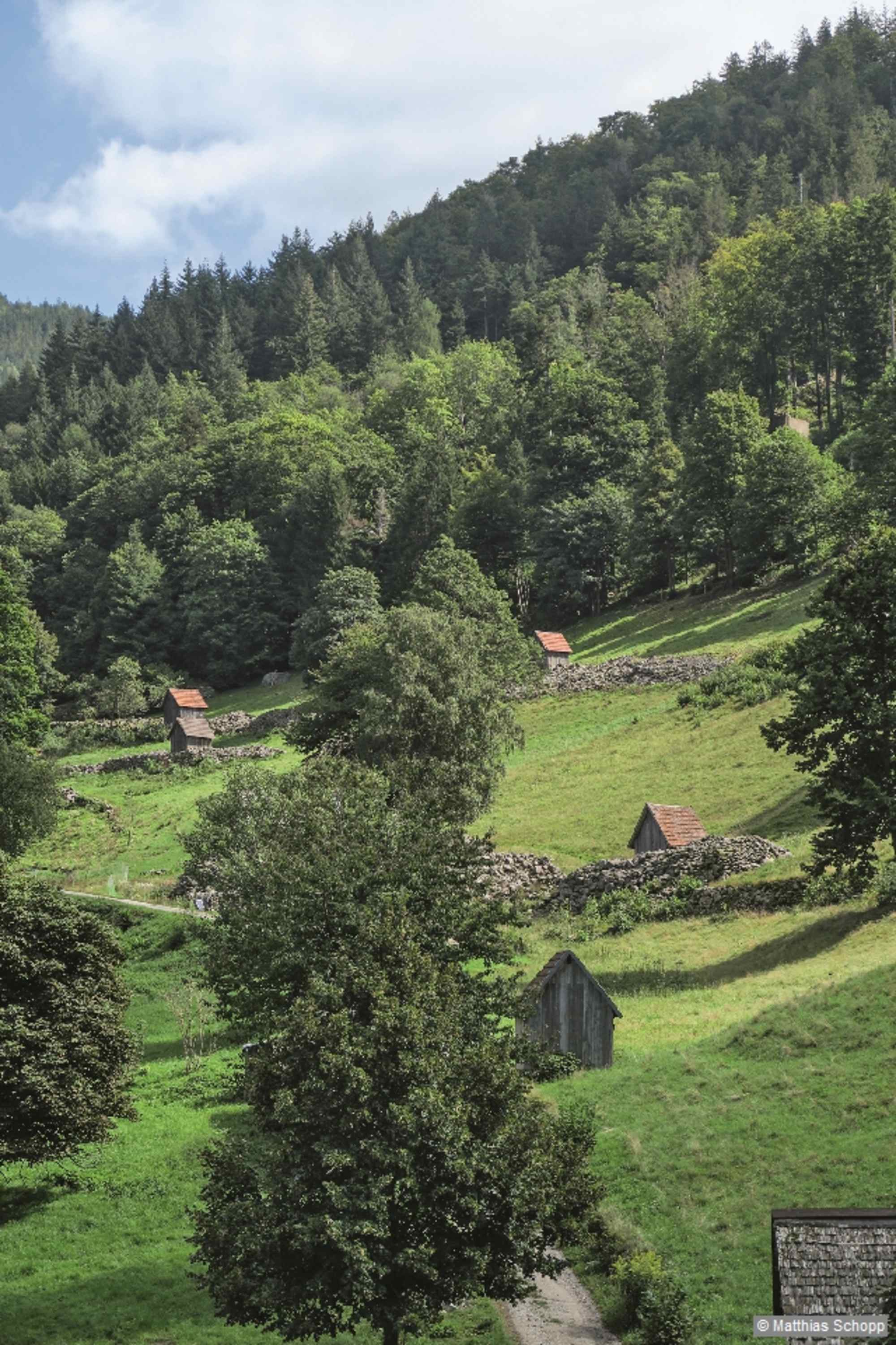Heuhütten im Kauersbachtal.