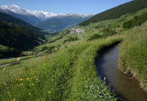 Matsch mit dem Ortler und Ackerwaal