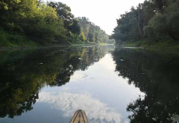 Nationalpark Donau-Auen östlich von Wien