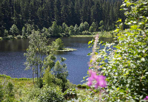 Der Sankenbachsee