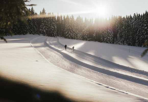 Langlaufen ist eine der gesündesten Winteraktivitäten.
