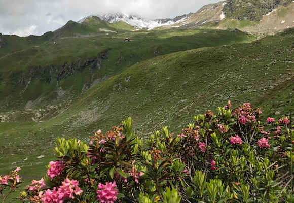 Das Ziel der diesjährigen Aktion „Saubere Berge“ - die Ahornspitze  - verbirgt sich noch in den Wolken.