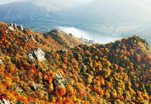 Die Wachau im Herbst: Blick auf die Ruine Dürnstein