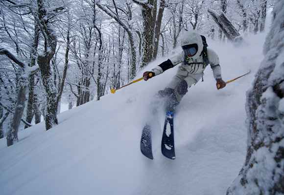 Freerider im Tiefschnee zwischen winterlichen Bäumen.