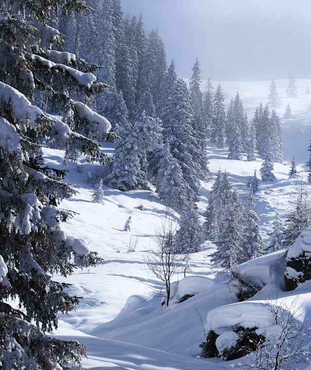 Aufstieg zur Schneegrubenspitze von der Kelchsau