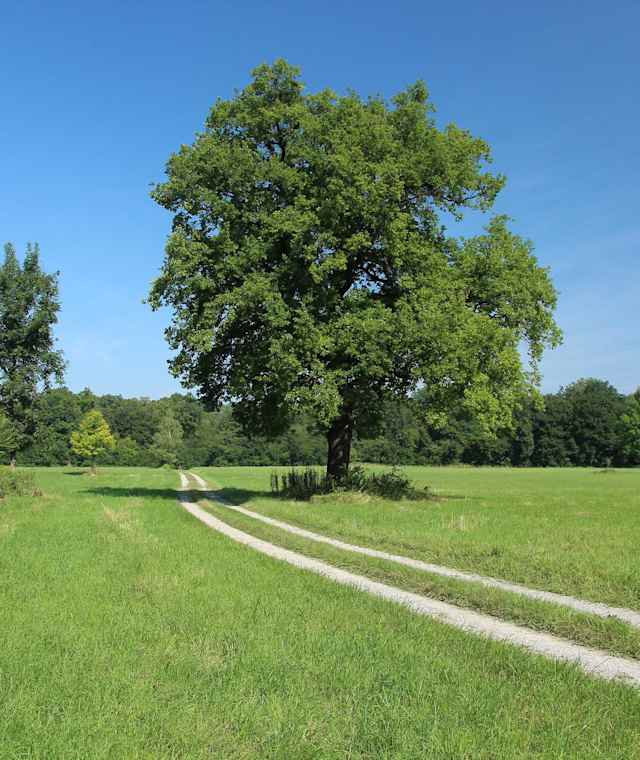 Auf der Großen Donaurunde Eckartsau