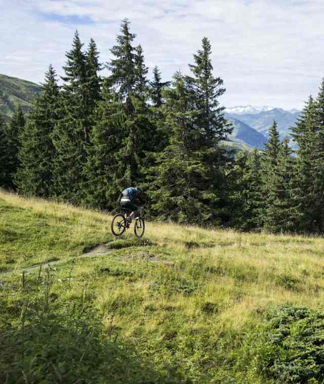 Fleckalmtrail