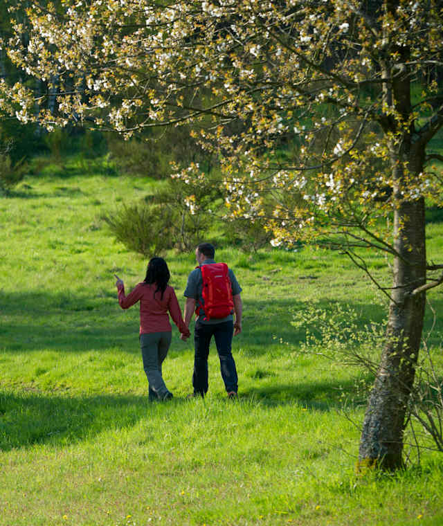 Auf dem Rothaarsteig bei Offdilln