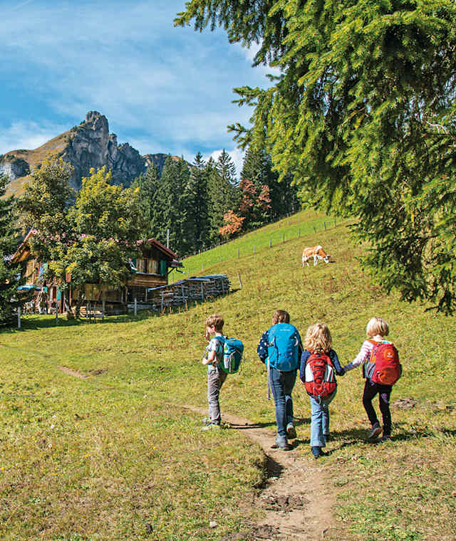 Begegnungen am Wegesrand zwischen Mürren und Spielboden.