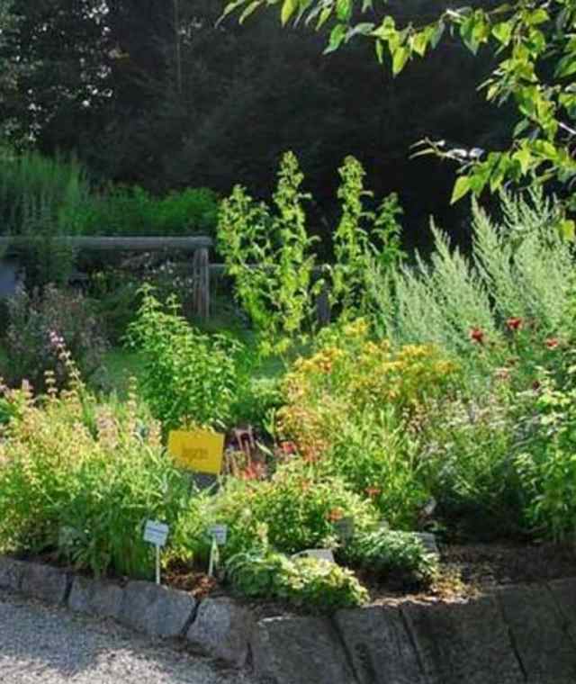 Kräutergarten in Klaffer