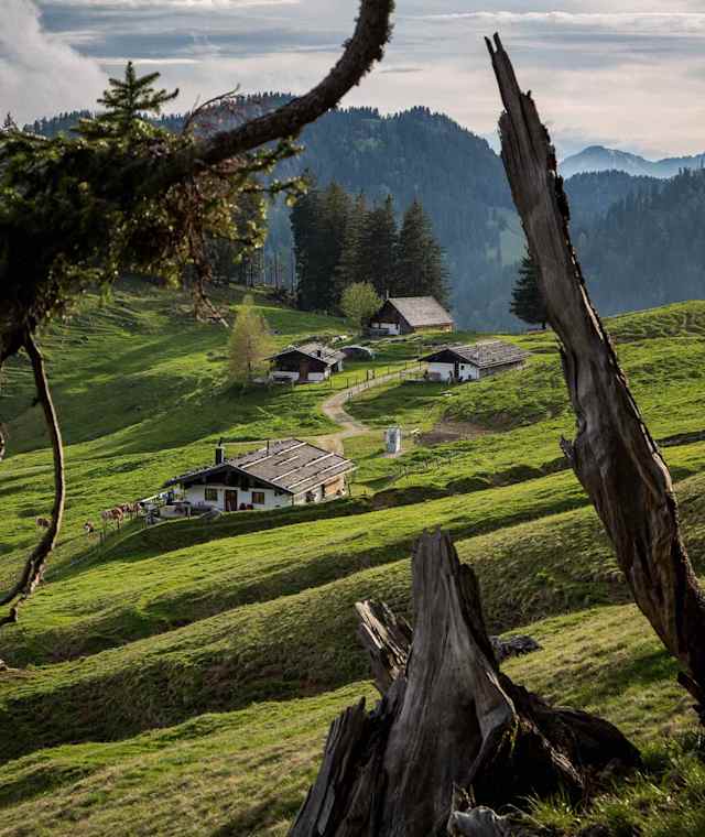 Die Haaralm