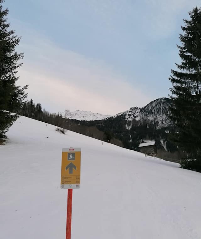 Hochzeiger - Mittelstation Route