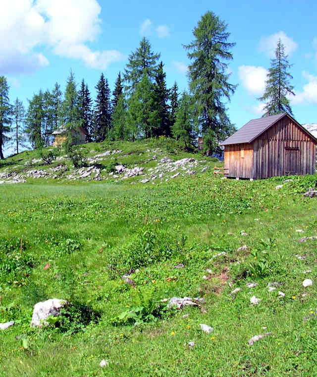 Im Henarwald stehen mehrere kleine Hüttchen.