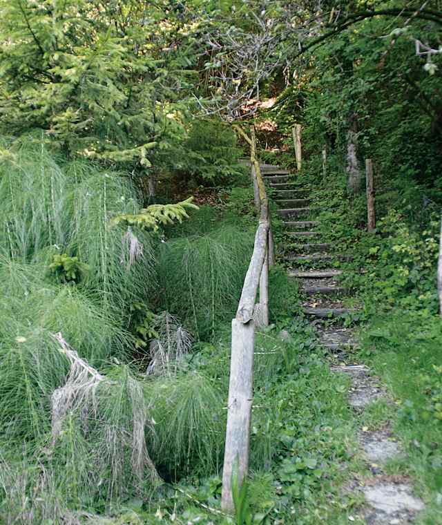Feuchter Hangbereich mit Schachtelhalm unterhalb St. Georg.