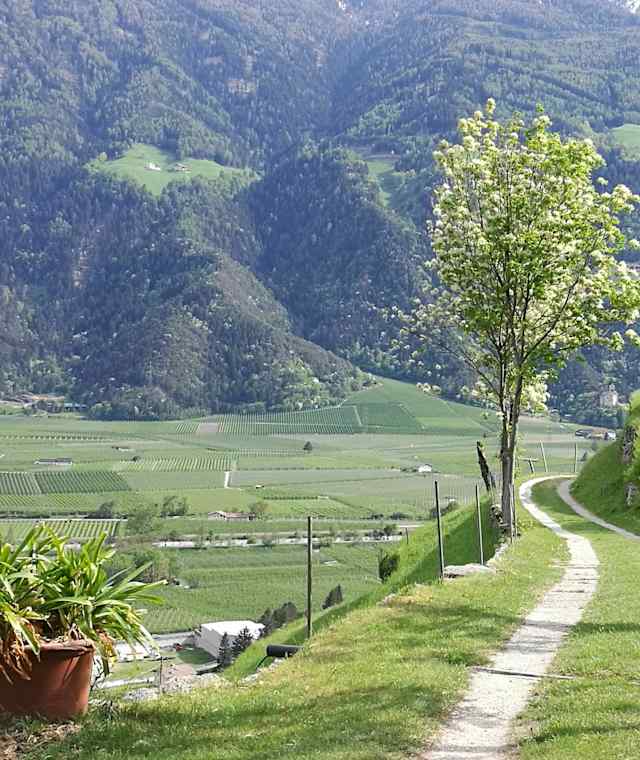 Zwischen Rabland und Naturns