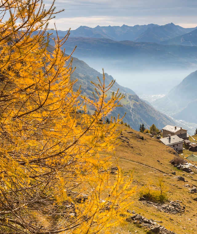 Herbststimmung auf der Alpe