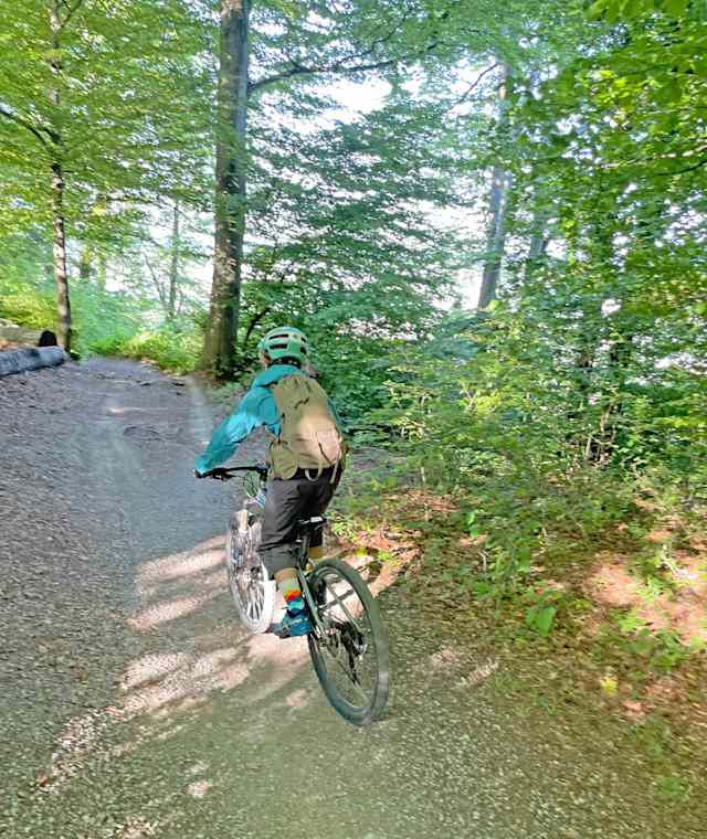 Der Antennentrail am Uetliberg