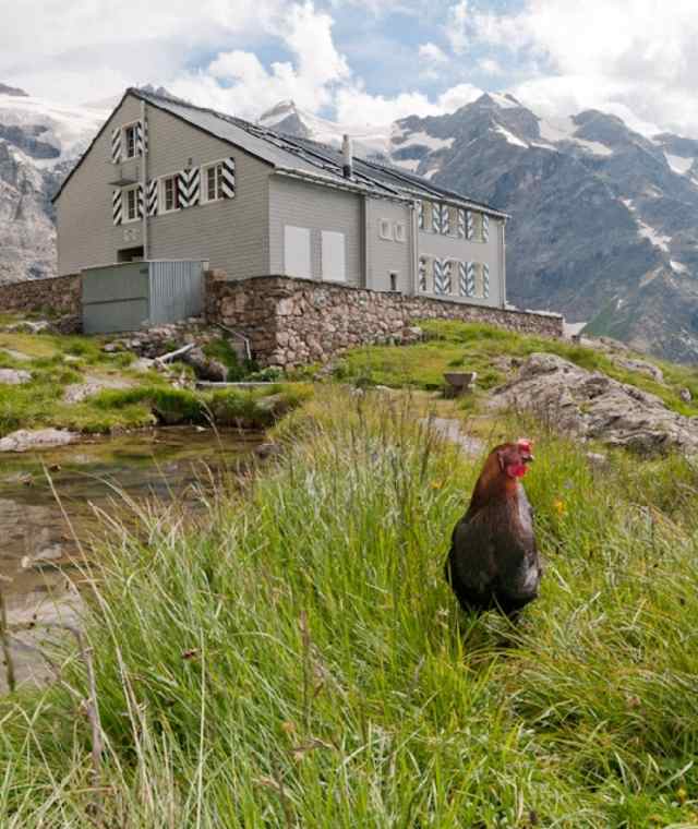 Glecksteinhütte
