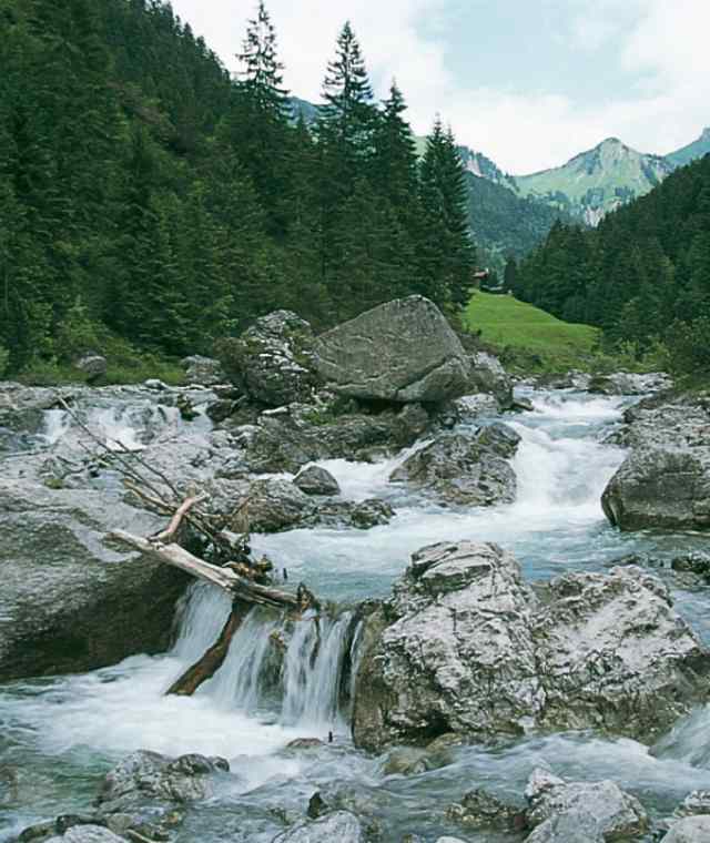 Wild rauscht das Wasser der Lutz um die riesigen Felsklötze.
