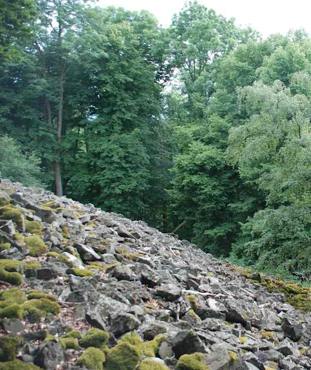 Basaltblockhalde am Stallberg