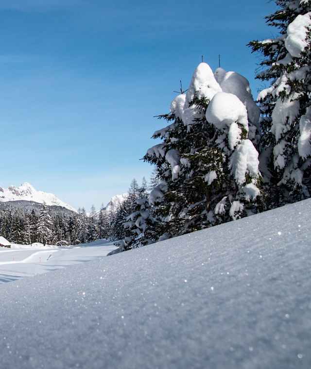 Blick auf die B1 Loipe