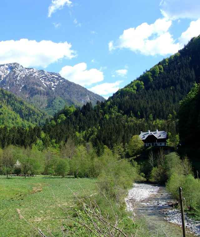Im Bodinggraben, Nationalpark Kalkalpen