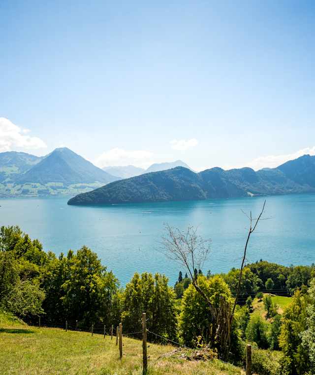 Sicht auf den Vierwaldstättersee mit Bürgenstock auf der Wanderung entlang des Waldstätterwegs, Etappe 1 Brunnen-Vitznau