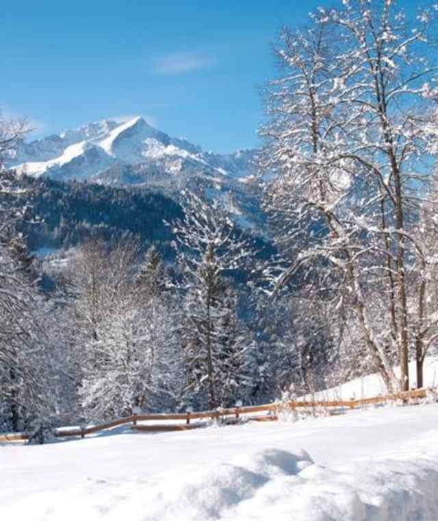 Rodeln auf der Elmauer Alm