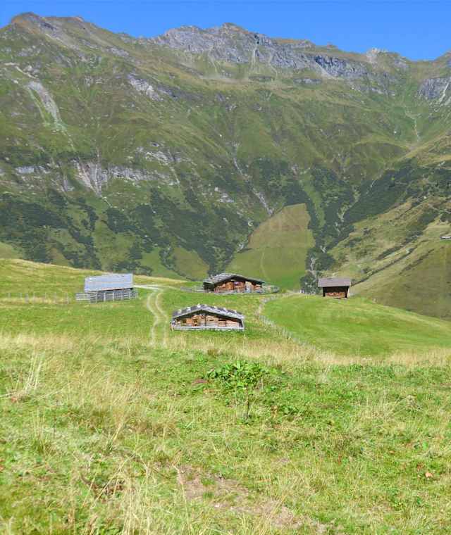 Gedaunerer Hochalm