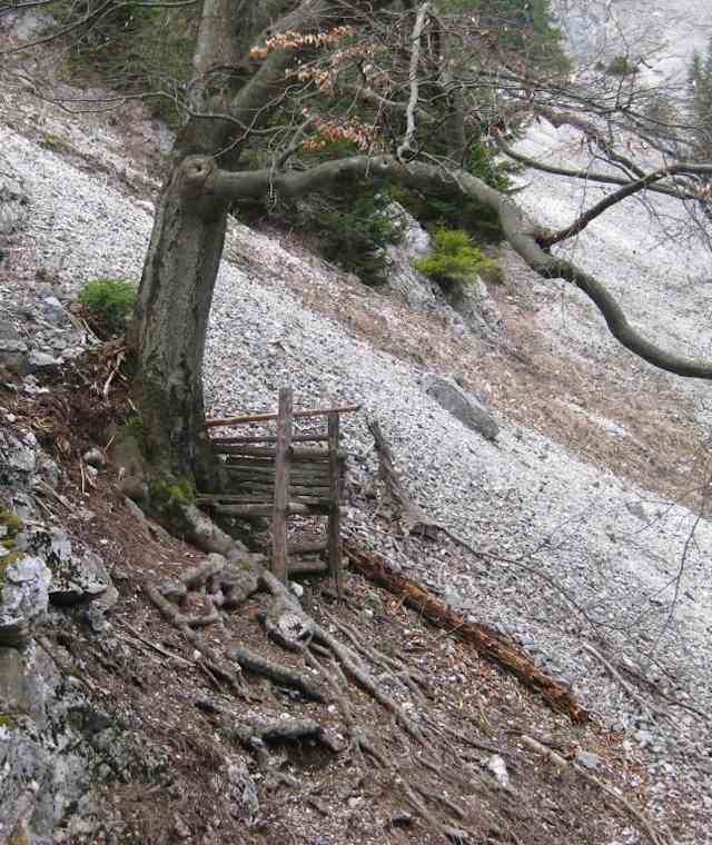Jägerstand am Zustieg
