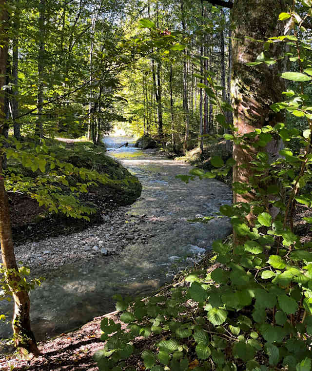 Hofgraben in Traunsee